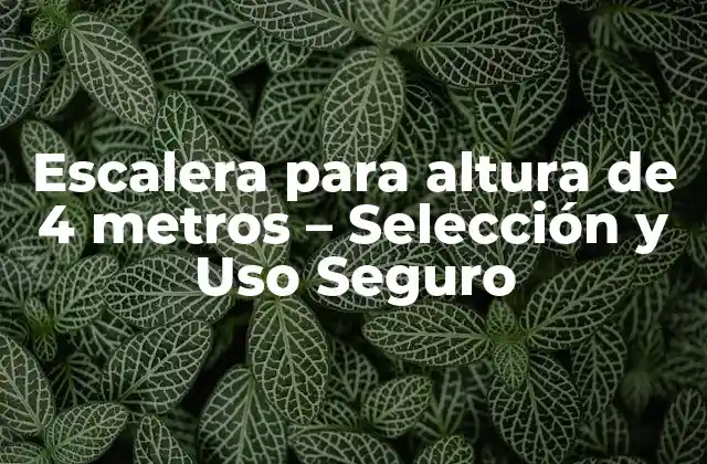 Escalera para Altura de 4 Metros – Selección y Uso Seguro