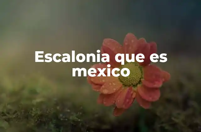 Escalonia que es Mexico