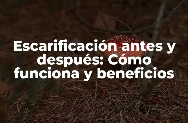 Escarificación Antes y Después: Cómo Funciona y Beneficios