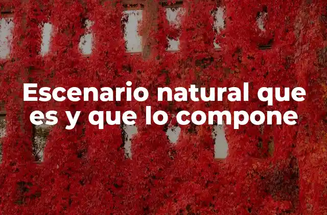 Escenario Natural que es y que Lo Compone