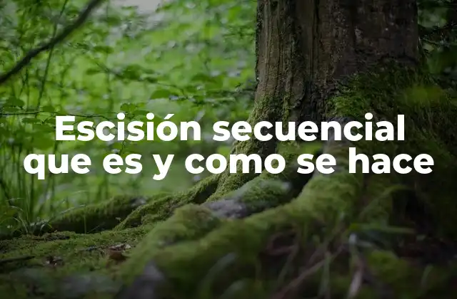 Escisión Secuencial que es y como Se Hace