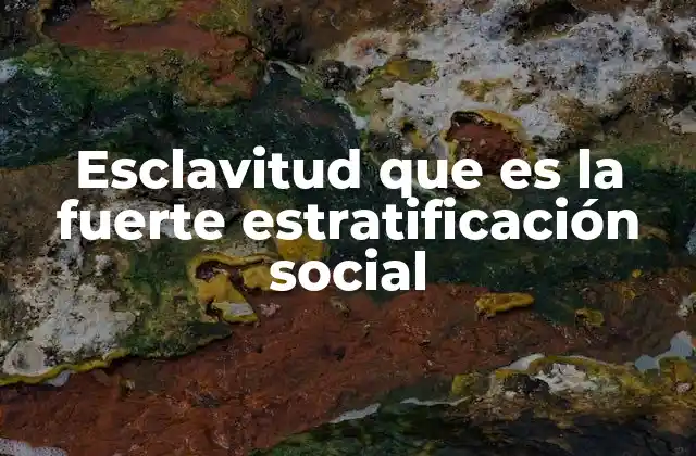 Esclavitud que es la Fuerte Estratificación Social