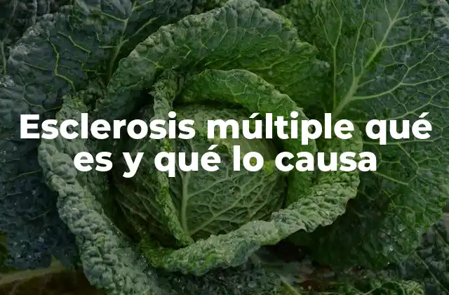 Esclerosis Múltiple Qué es y Qué Lo Causa