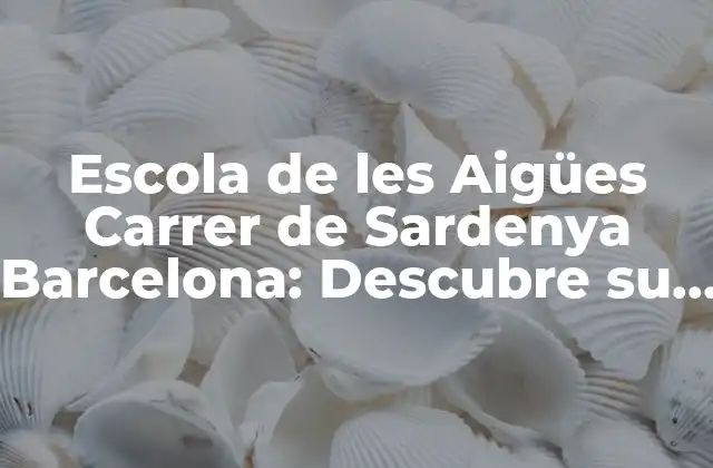 Escola de Les Aigües Carrer de Sardenya Barcelona: Descubre Su Historia y Significado