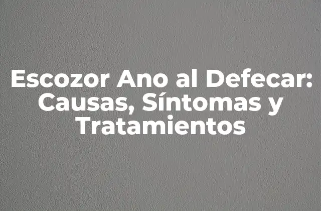 Escozor Ano Al Defecar: Causas, Síntomas y Tratamientos