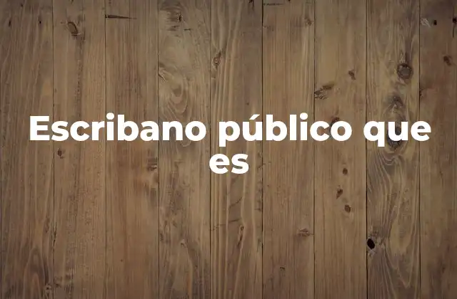 Escribano Público que es