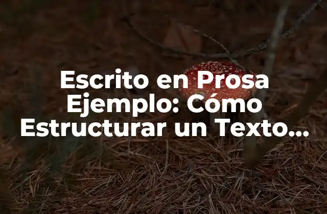 Escrito en Prosa Ejemplo: Cómo Estructurar un Texto con Efectividad