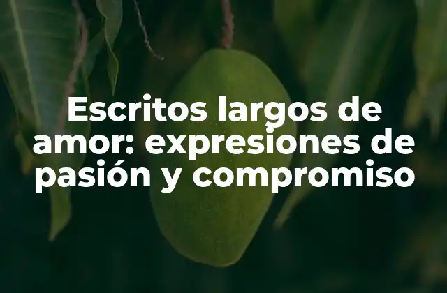 Escritos Largos de Amor: Expresiones de Pasión y Compromiso