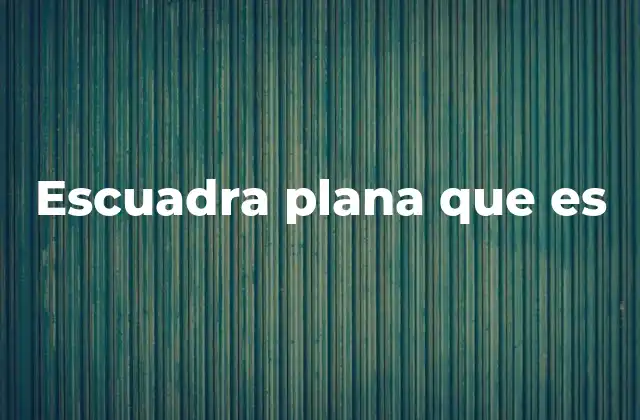 Escuadra Plana que es