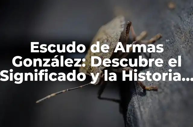 Escudo de Armas González: Descubre el Significado y la Historia Detrás de Este Emblema