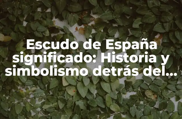 Escudo de España Significado: Historia y Simbolismo Detrás Del Emblema Nacional