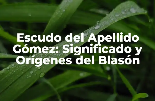Escudo Del Apellido Gómez: Significado y Orígenes Del Blasón