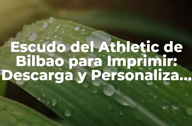 Escudo Del Athletic de Bilbao para Imprimir: Descarga y Personaliza Tu Propio