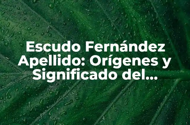 Escudo Fernández Apellido: Orígenes y Significado Del Apellido Español