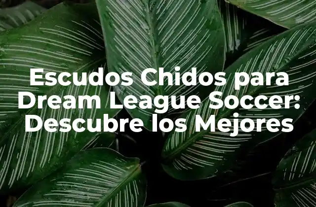 Escudos Chidos para Dream League Soccer: Descubre los Mejores