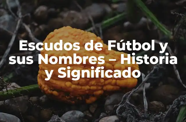 Escudos de Fútbol y Sus Nombres – Historia y Significado