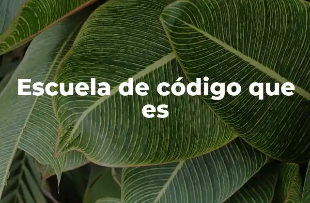 Escuela de Código que es