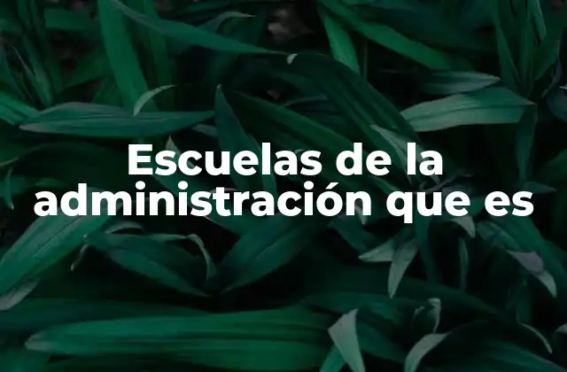 Escuelas de la Administración que es