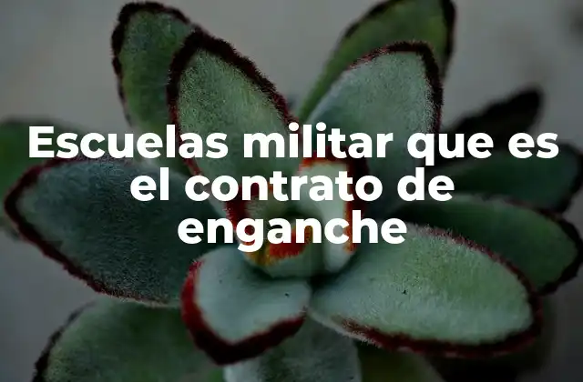 Escuelas Militar que es el Contrato de Enganche