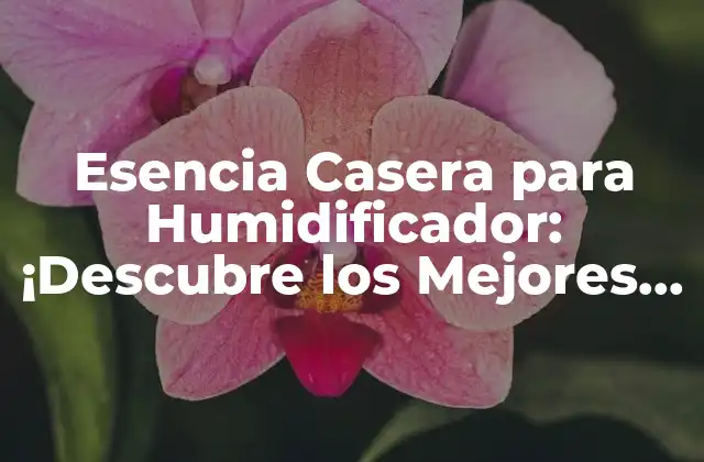 Esencia Casera para Humidificador: ¡descubre los Mejores Remedios Naturales!