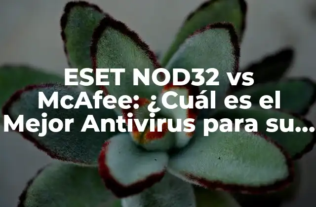 Eset Nod32 Vs Mcafee: ¿cuál es el Mejor Antivirus para Su Seguridad en Línea?