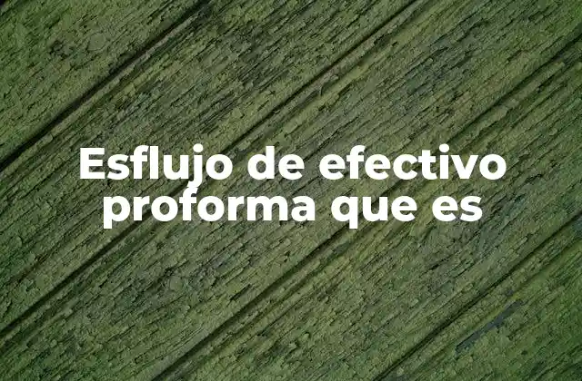 Esflujo de Efectivo Proforma que es