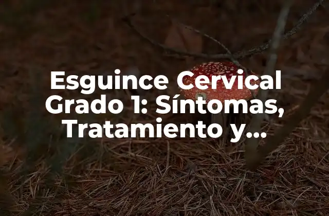 Esguince Cervical Grado 1: Síntomas, Tratamiento y Recuperación