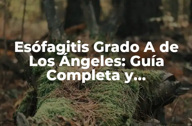 Esófagitis Grado a de los Ángeles: Guía Completa y Actualizada