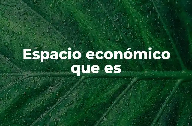 Espacio Económico que es