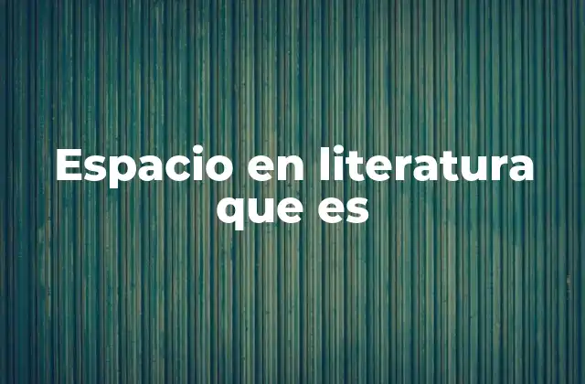 Espacio en Literatura que es