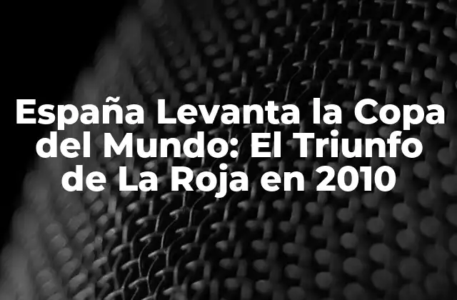 La Preparación de España para la Copa del Mundo