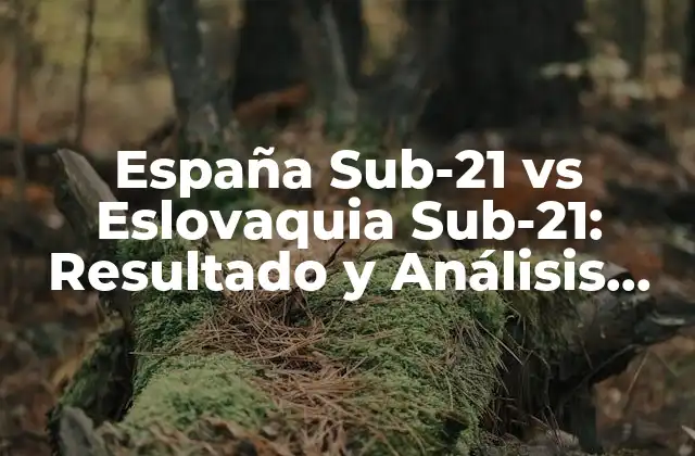 España Sub-21 Vs Eslovaquia Sub-21: Resultado y Análisis Del Partido