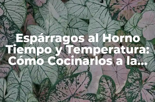 Espárragos Al Horno Tiempo y Temperatura: Cómo Cocinarlos a la Perfección 2 Beneficios de Cocinar Espárragos al Horno