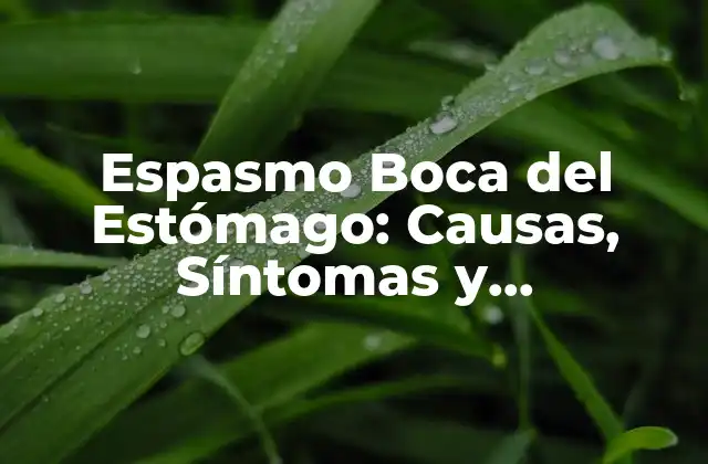 Espasmo Boca Del Estómago: Causas, Síntomas y Tratamiento