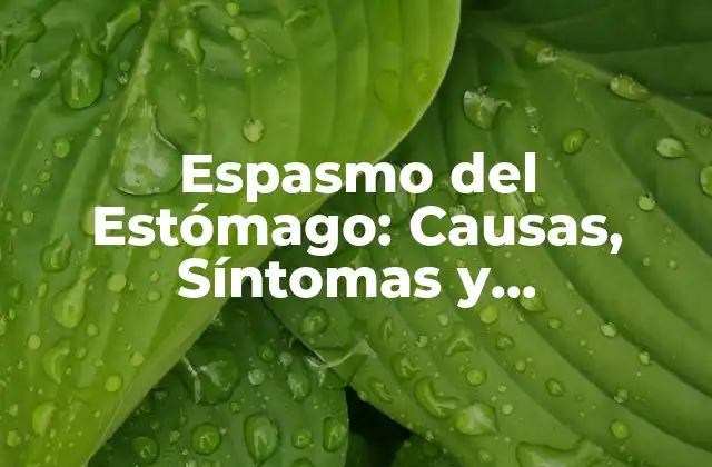 ¿Qué Causa el Espasmo del Estómago?