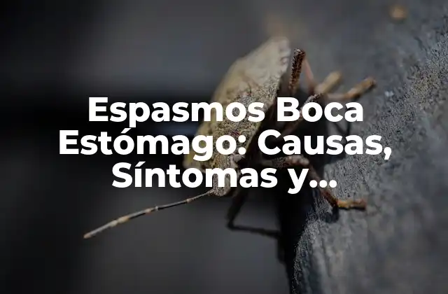 Espasmos Boca Estómago: Causas, Síntomas y Tratamiento 2 ¿Qué Son los Espasmos Boca Estómago?