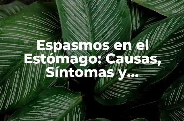 Espasmos en el Estómago: Causas, Síntomas y Tratamientos