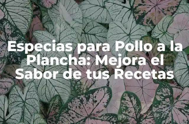 Especias para Pollo a la Plancha: Mejora el Sabor de Tus Recetas