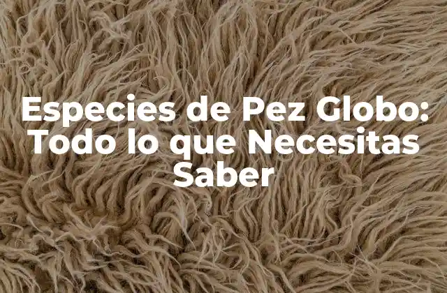 Características Físicas de las Especies de Pez Globo