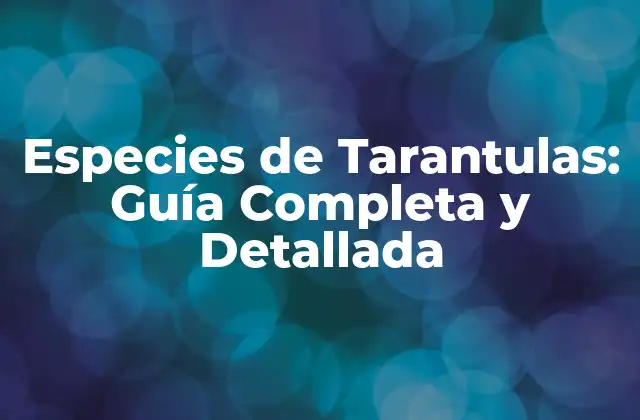 Especies de Tarantulas: Guía Completa y Detallada
