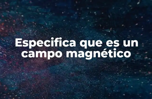 Especifica que es un Campo Magnético