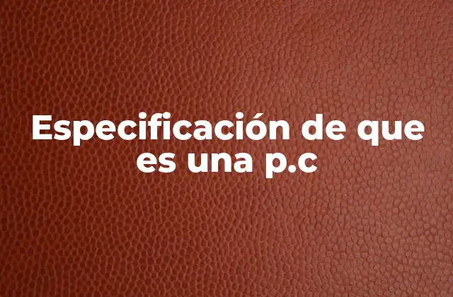Especificación de que es una P.c