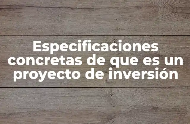 Especificaciones Concretas de que es un Proyecto de Inversión