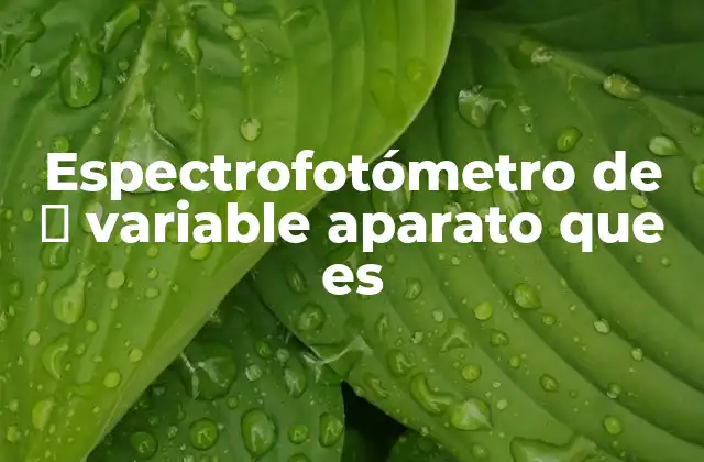 Funcionamiento del espectrofotómetro de λ variable