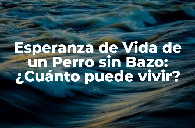 Esperanza de Vida de un Perro sin Bazo: ¿cuánto Puede Vivir?