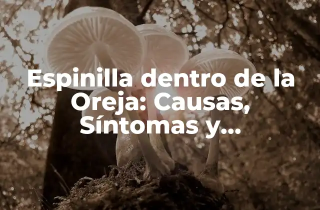 Espinilla Dentro de la Oreja: Causas, Síntomas y Tratamiento