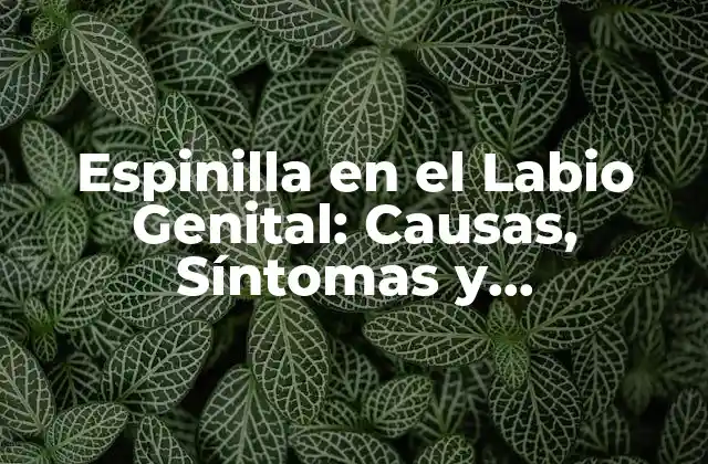 ¿Qué es una Espinilla en el Labio Genital?