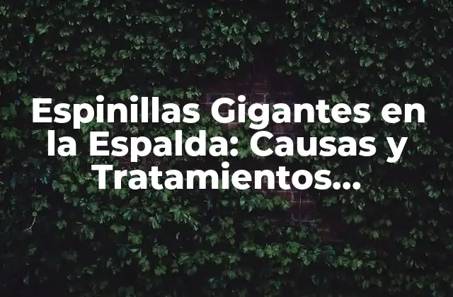 Espinillas Gigantes en la Espalda: Causas y Tratamientos Eficientes