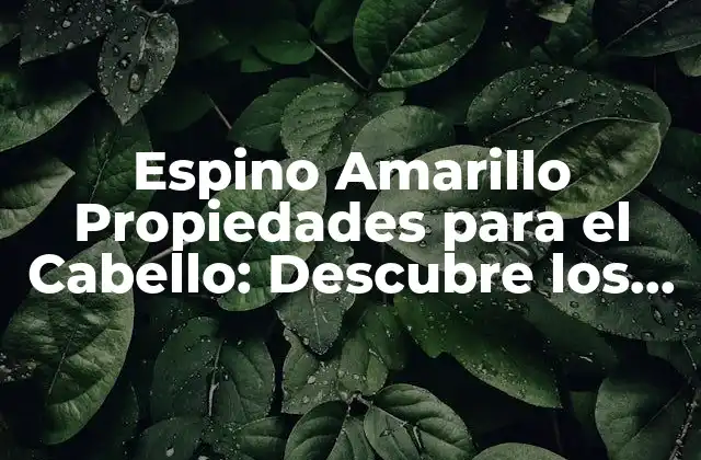 Espino Amarillo Propiedades para el Cabello: Descubre los Beneficios Naturales