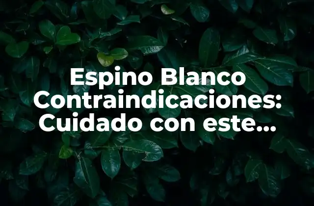 Espino Blanco Contraindicaciones: Cuidado con Este Suplemento Natural